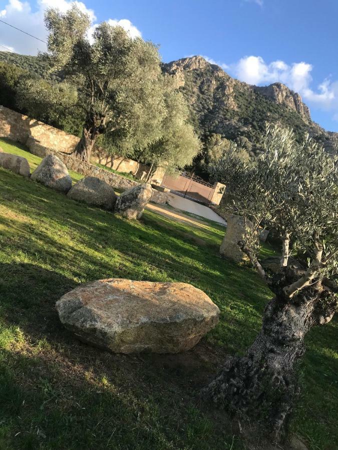 Villa Calisti Belgodère المظهر الخارجي الصورة